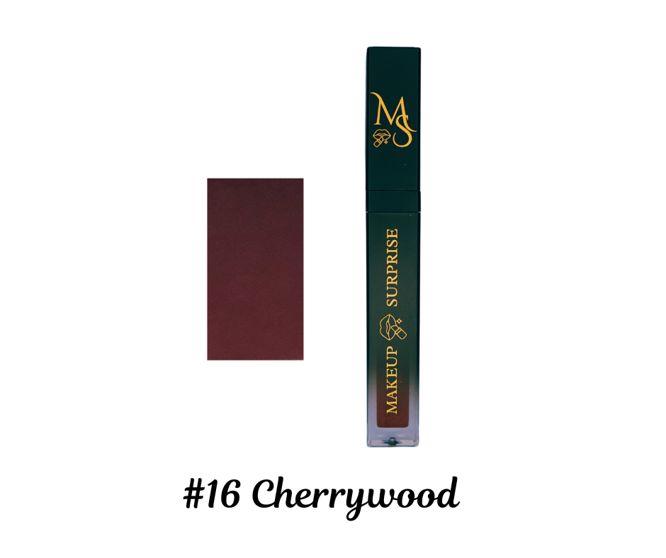 Makeup Surprise Name Brand Lip Gloss
