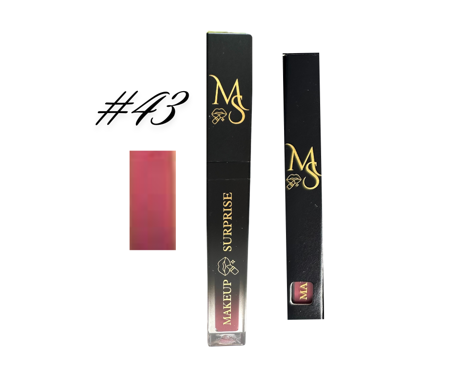 Makeup Surprise Name Brand Lip Gloss