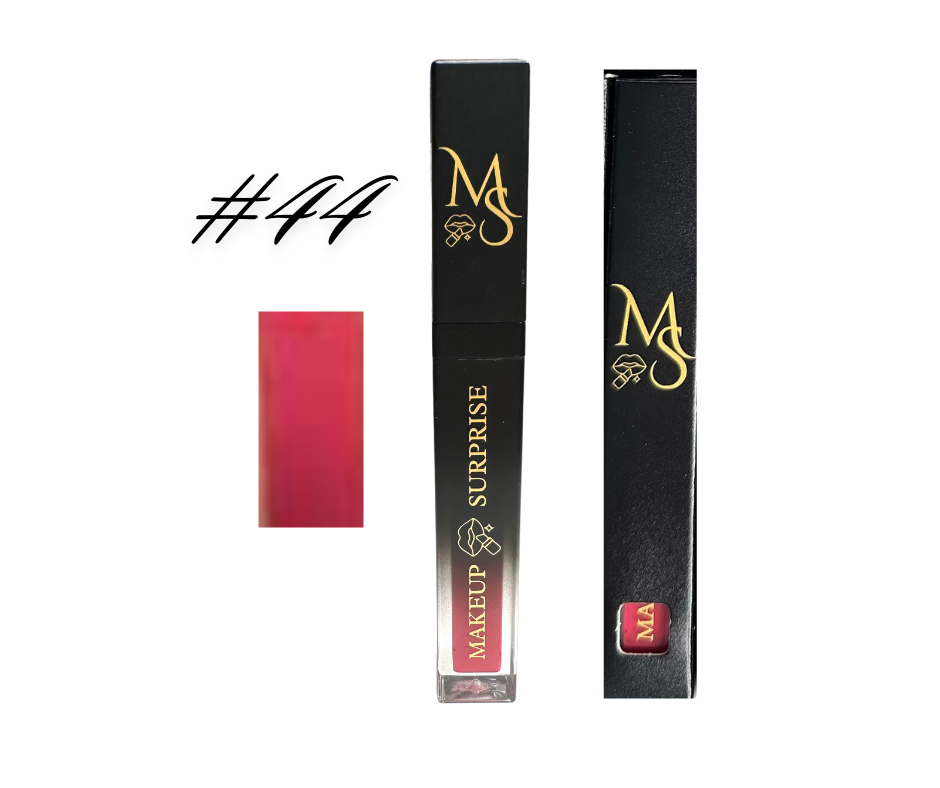 Makeup Surprise Name Brand Lip Gloss