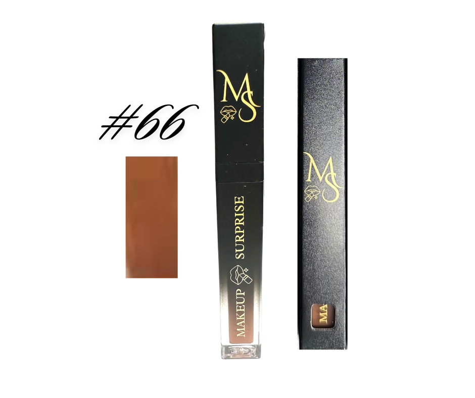 Makeup Surprise Name Brand Lip Gloss
