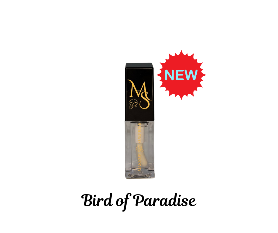 Makeup Surprise Name Brand Lip Oil