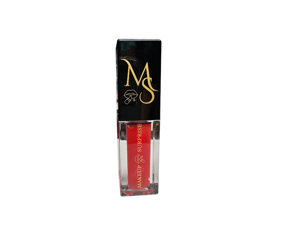 Makeup Surprise Name Brand Lip Oil